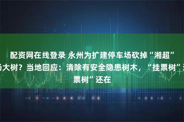 配资网在线登录 永州为扩建停车场砍掉“湘超”主场大树？当地回应：清除有安全隐患树木，“挂票树”还在